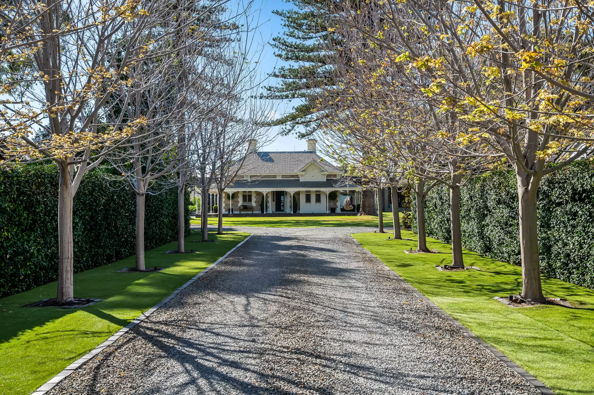 12 The Grove, Lower Mitcham For Sale by Booth Real Estate - image 1