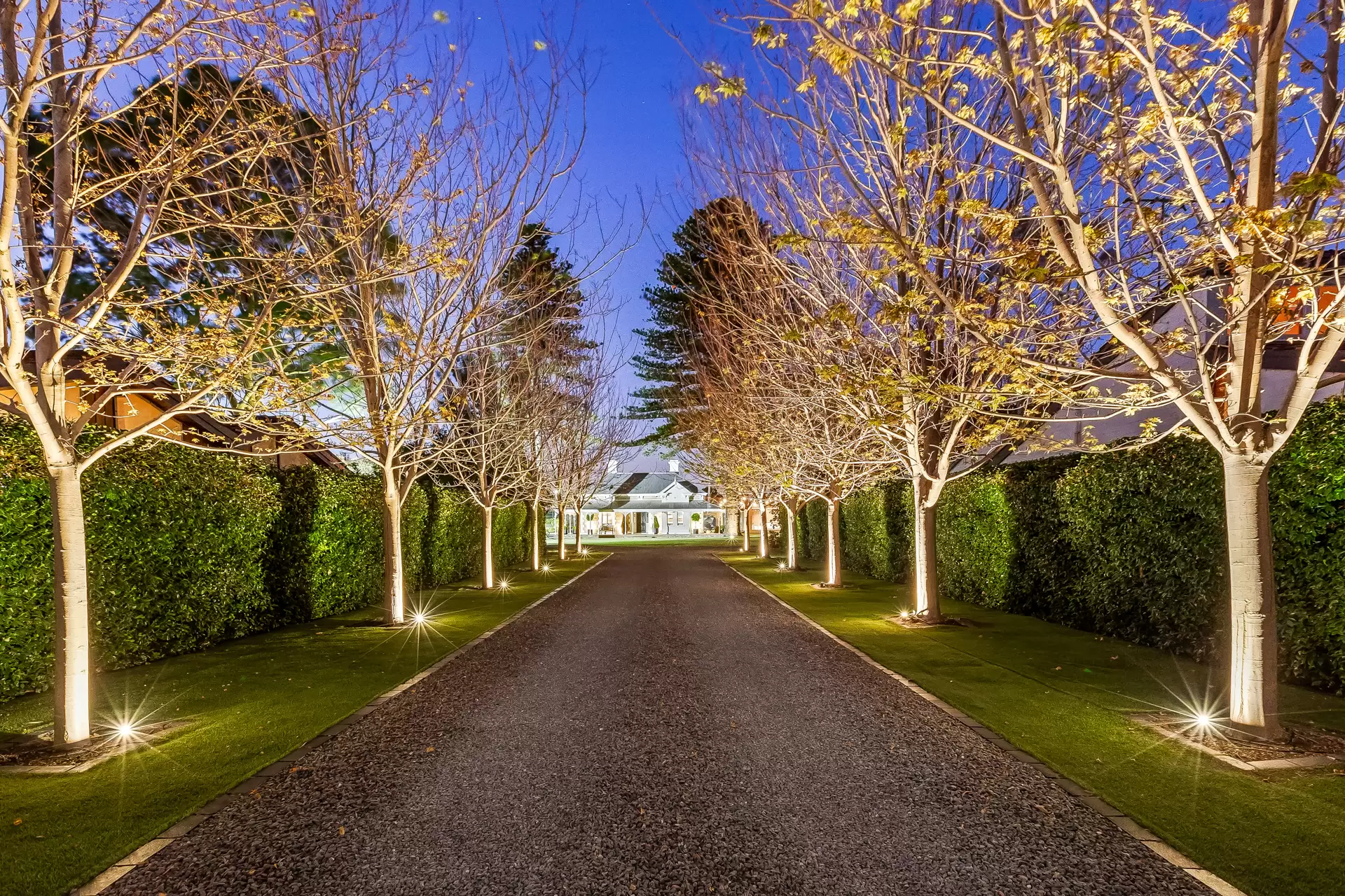 12 The Grove, Lower Mitcham For Sale by Booth Real Estate - image 1