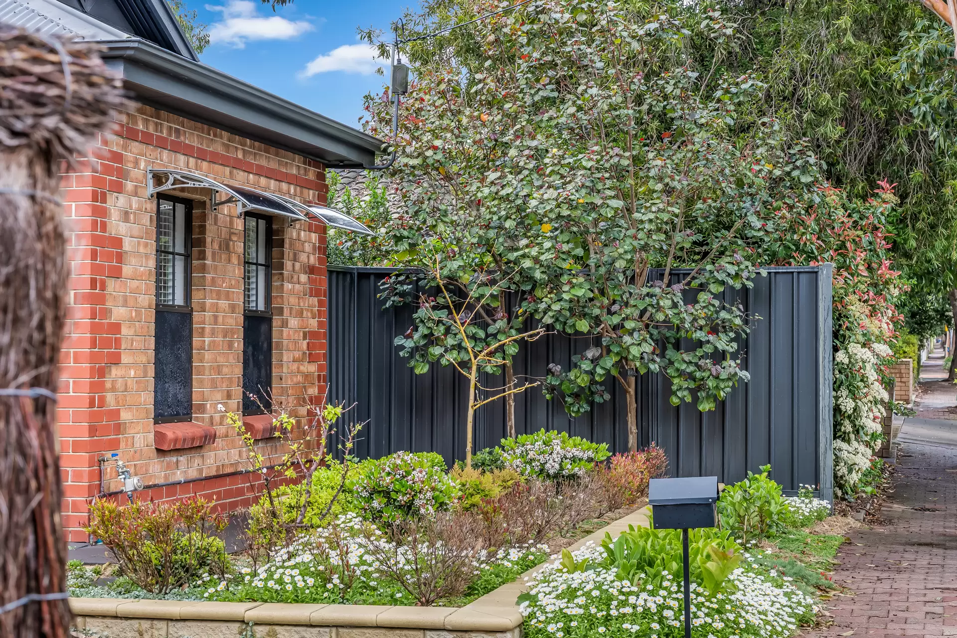 19A Weller Street, Goodwood Sold by Booth Real Estate - image 1