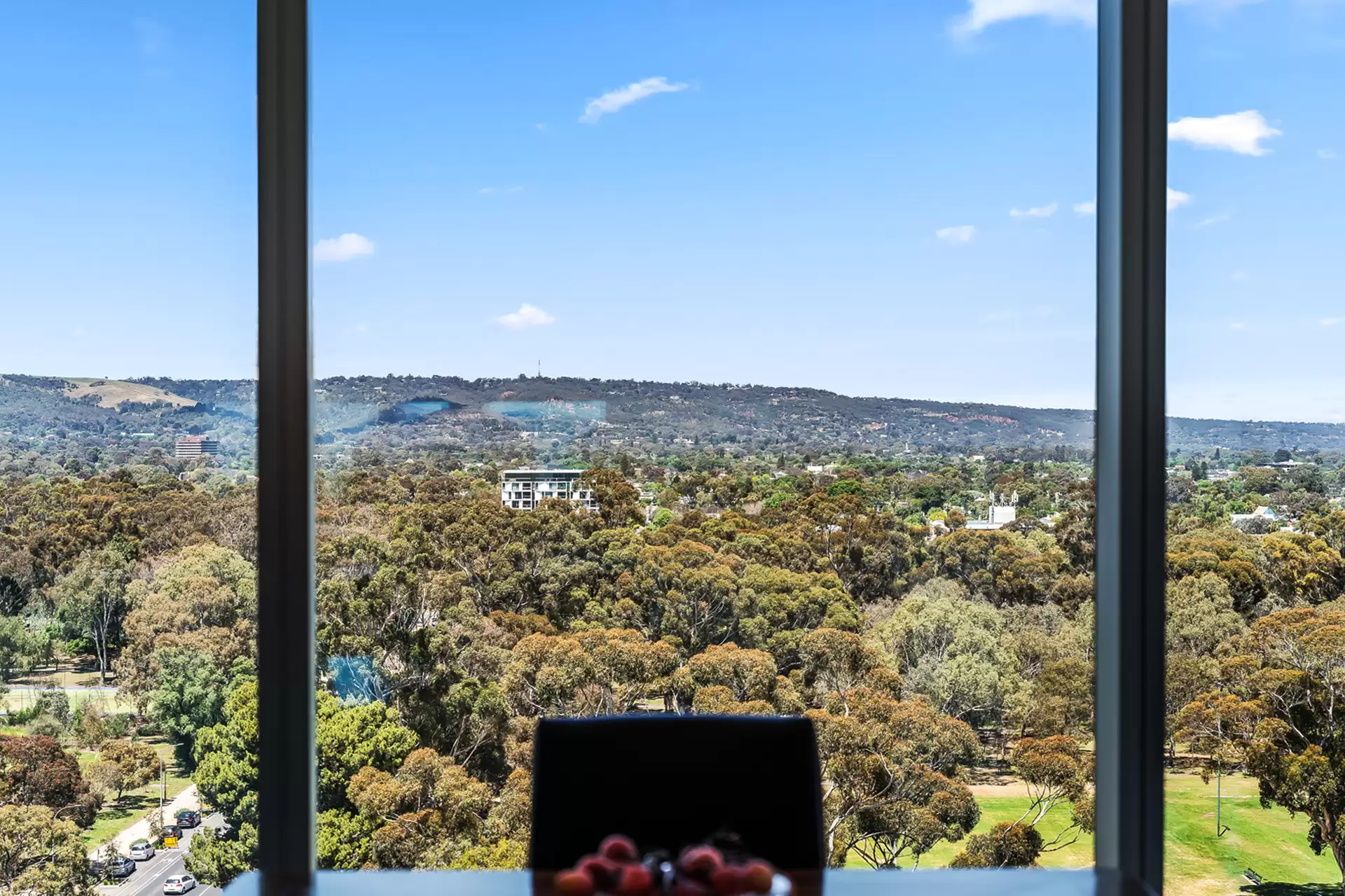 1003/267 Hutt Street, Adelaide For Sale by Booth Real Estate - image 1