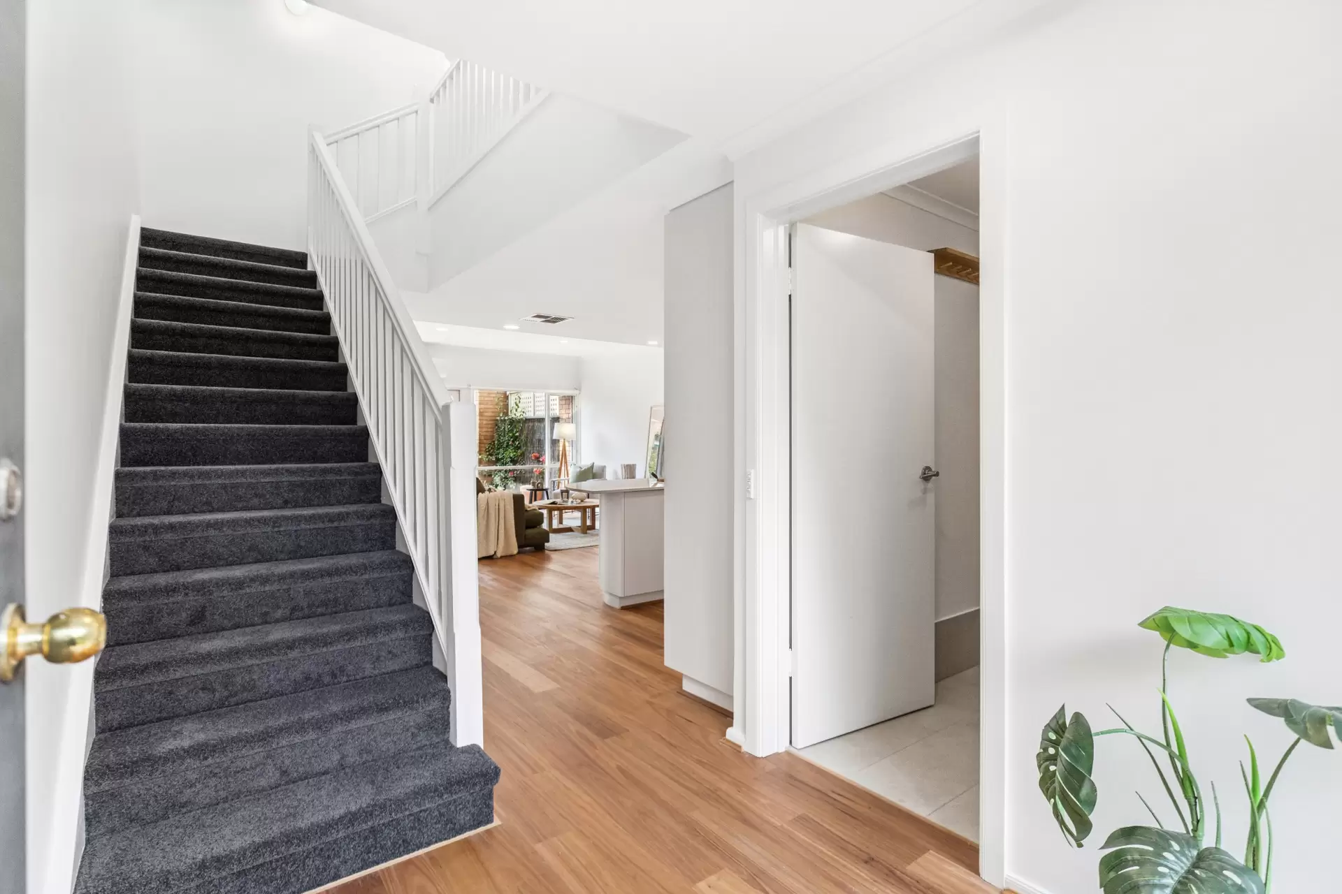 20 East Pallant Street, North Adelaide For Sale by Booth Real Estate - image 1