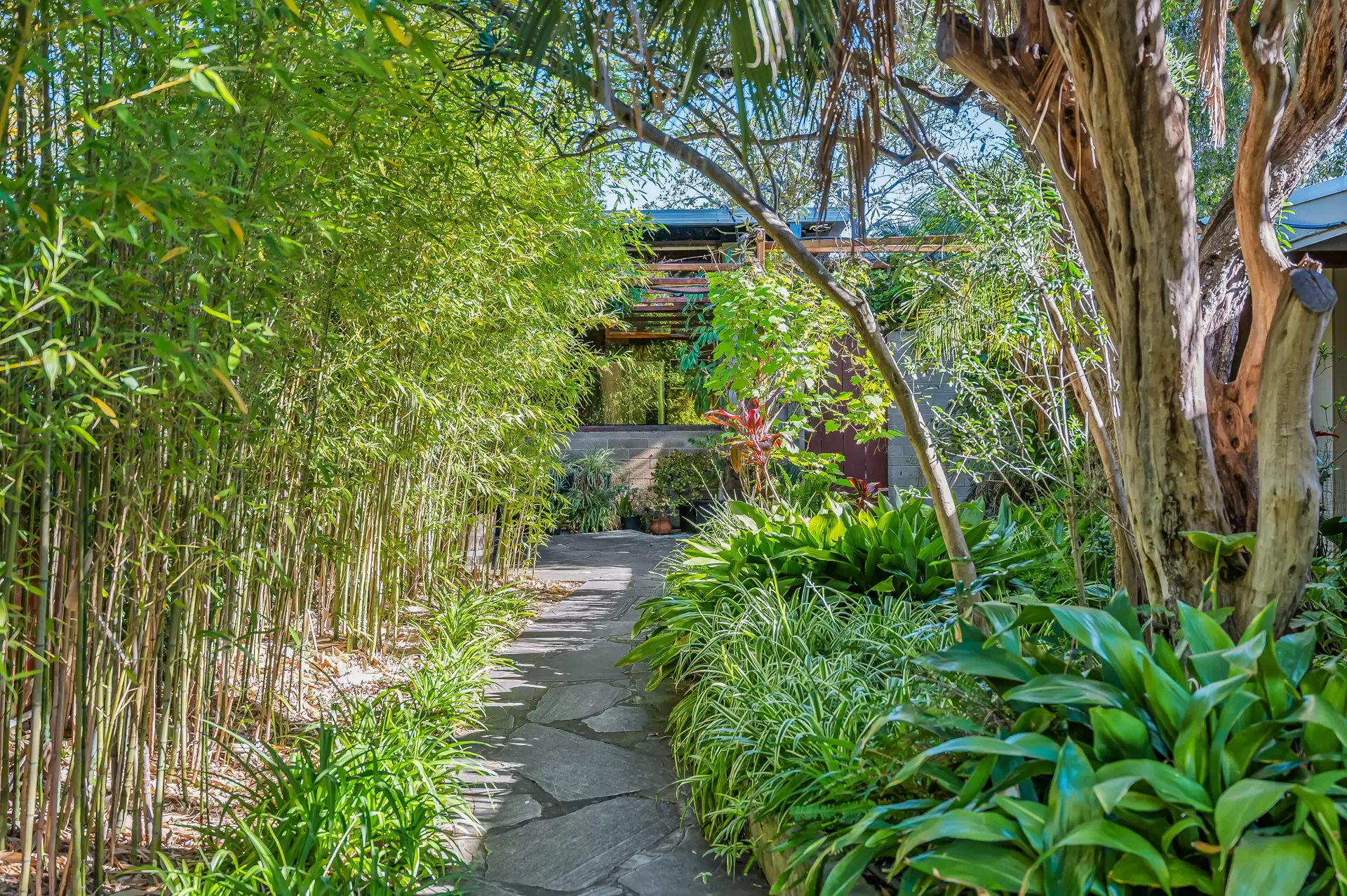 26A Stannington Avenue, Heathpool For Sale by Booth Real Estate - image 1