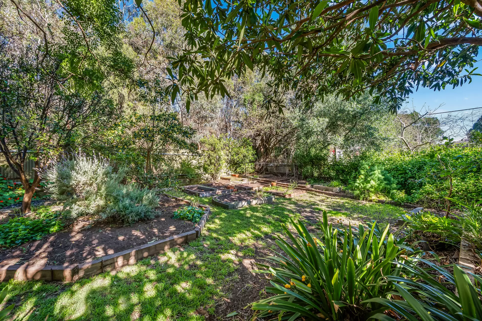 26A Stannington Avenue, Heathpool For Sale by Booth Real Estate - image 1