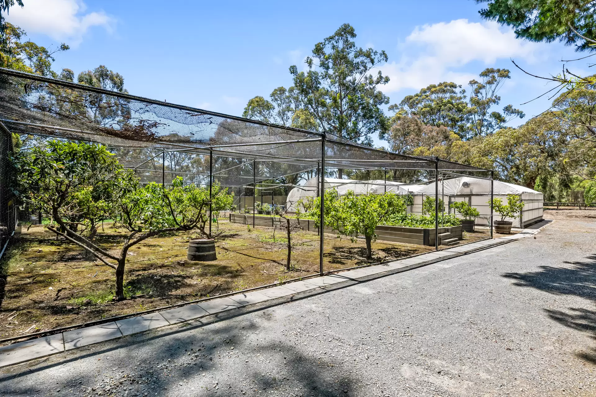 429 Ackland Hill Road, Coromandel East For Sale by Booth Real Estate - image 1