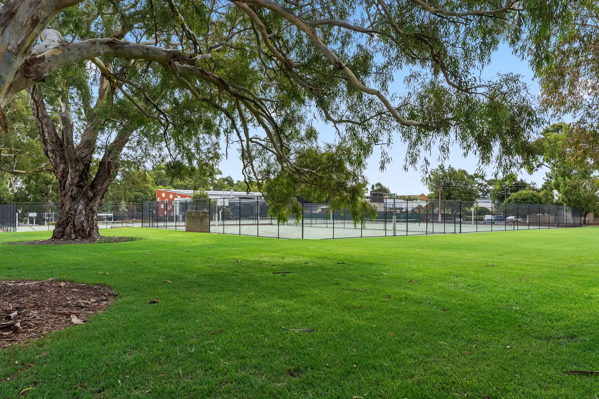 22 Hackett Terrace, Marryatville Auction by Booth Real Estate - image 1