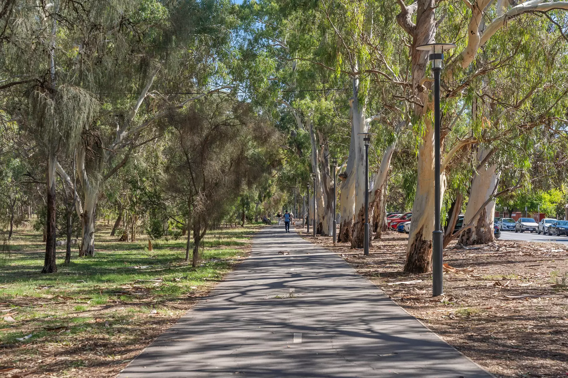 6/373 South Terrace, Adelaide For Sale by Booth Real Estate - image 1