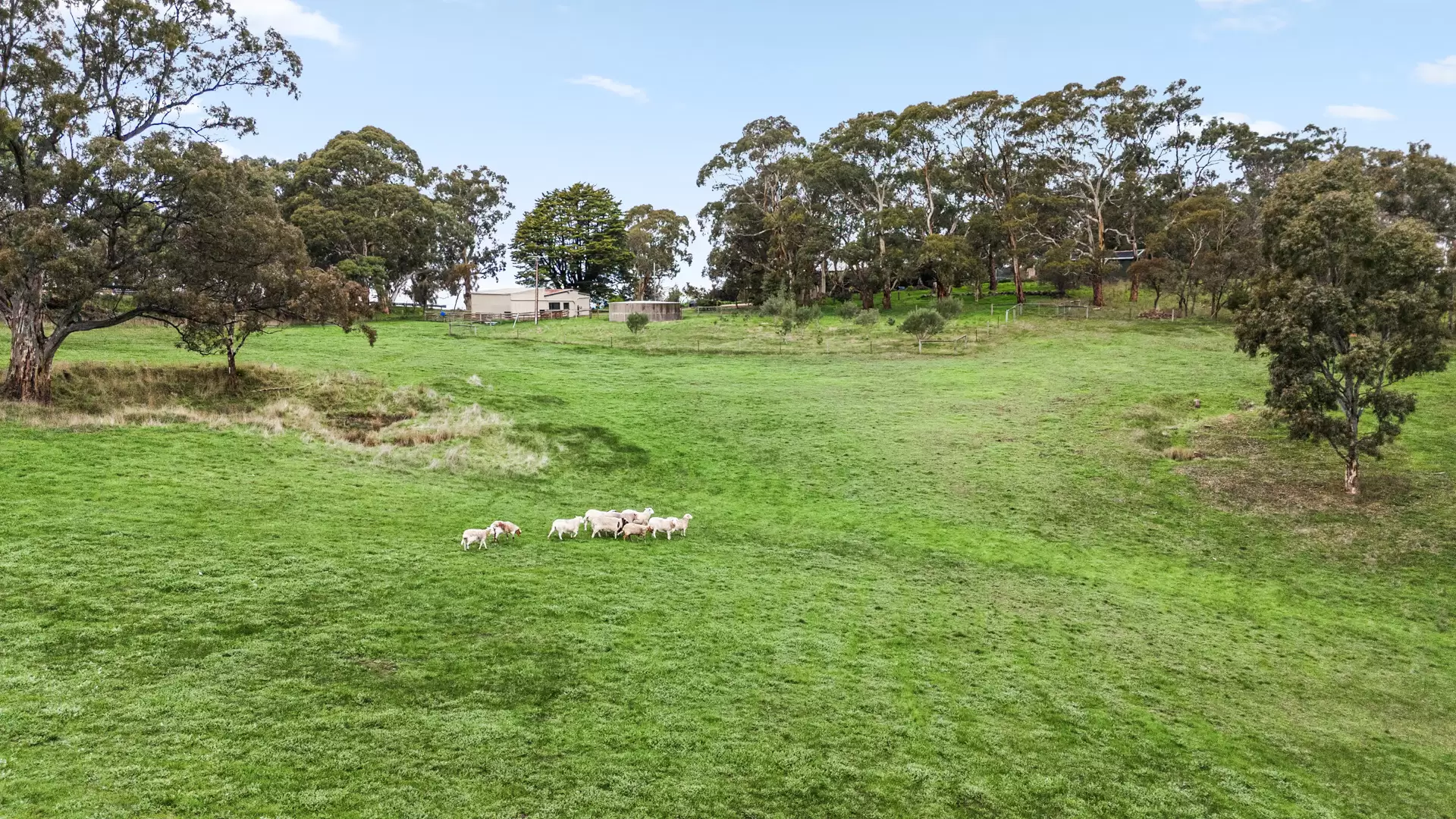 494 Wellington Road, Wistow For Sale by Booth Real Estate - image 1