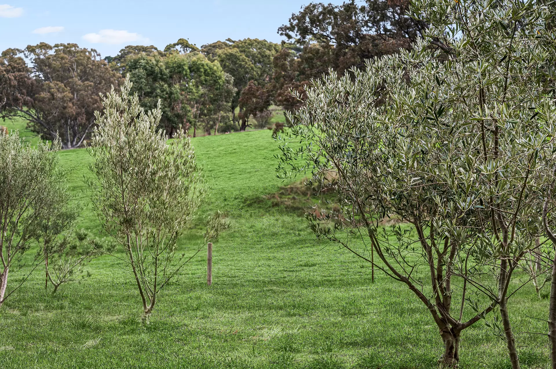 494 Wellington Road, Wistow For Sale by Booth Real Estate - image 1