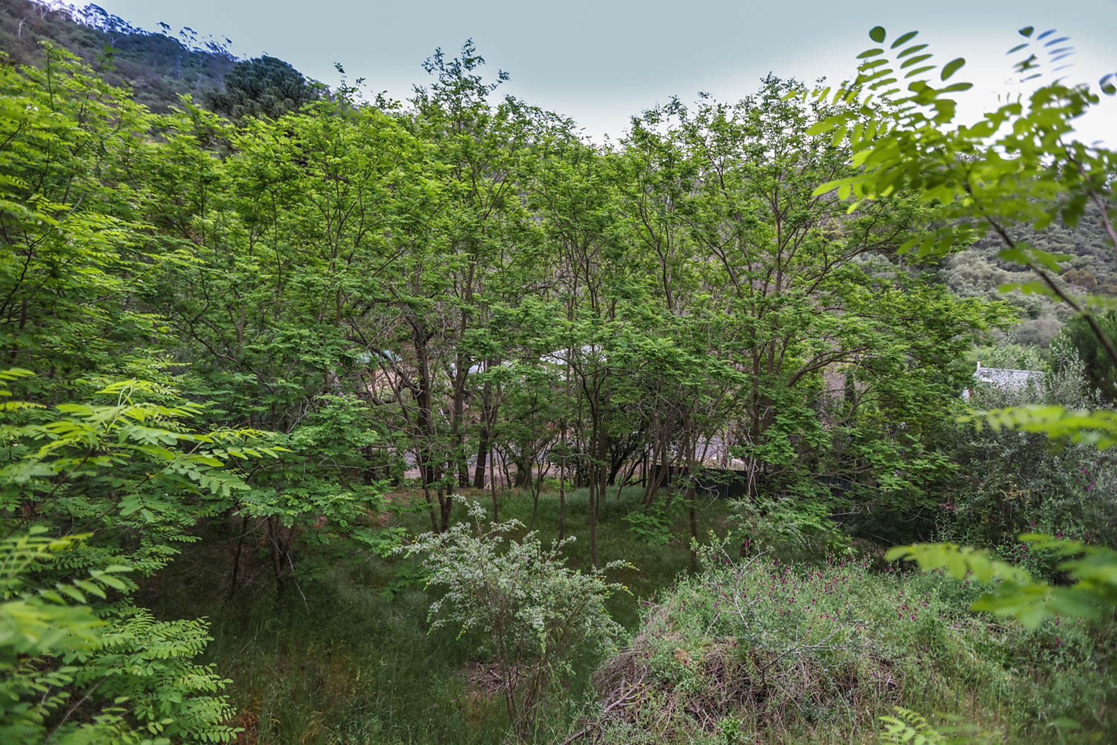 158 Waterfall Gully Road, Waterfall Gully Sold by Booth Real Estate - image 1