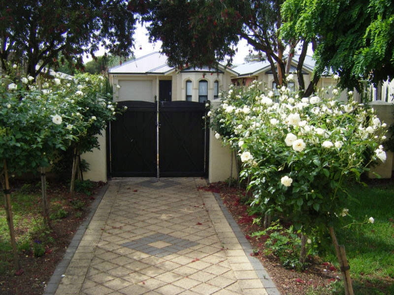 1 Beasley Street, Marden Sold by Booth Real Estate - image 1